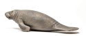 Schleich 14839 Manat Wild Life