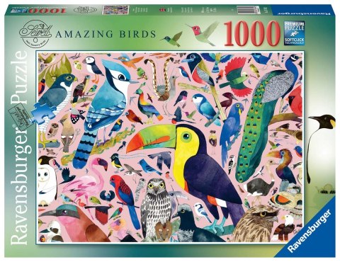 Ravensburger Puzzle 2D 1000 elementów: Matt Sewell's Wspaniałe ptaki 16769 Ravensburger Puzzle 2D 1000 elementów: Matt Sewell's Wspaniałe ptaki 16769