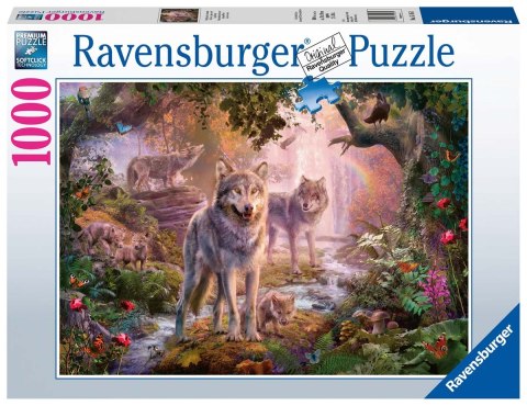 Ravensburger Puzzle 2D 1000 elementów: Rodzina wilków latem 15185 Ravensburger Puzzle 2D 1000 elementów: Rodzina wilków latem 15185