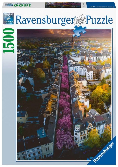 Ravensburger Puzzle 2D 1500 elementów: Bonn. Niemcy 17104 Ravensburger Puzzle 2D 1500 elementów: Bonn. Niemcy 17104
