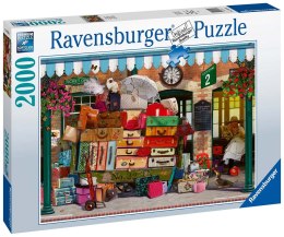 Ravensburger Puzzle 2D 2000 elementów: Podrożujące światło 16974