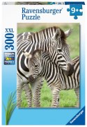 Ravensburger Puzzle dla dzieci 2D: Zebry 300 elementów 12948