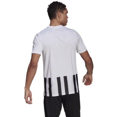 Koszulka adidas Striped 21 JSY M GV1377 Koszulka adidas Striped 21 JSY M GV1377