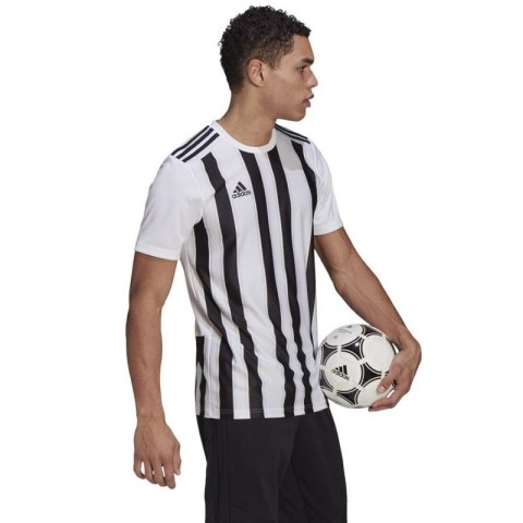 Koszulka adidas Striped 21 JSY M GV1377 Koszulka adidas Striped 21 JSY M GV1377