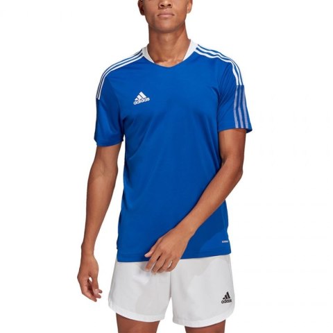 Koszulka adidas TIRO 21 TR JSY M GM7589 Koszulka adidas TIRO 21 TR JSY M GM7589