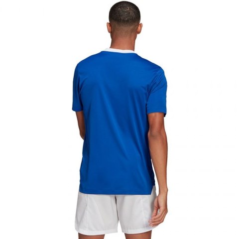 Koszulka adidas TIRO 21 TR JSY M GM7589 Koszulka adidas TIRO 21 TR JSY M GM7589