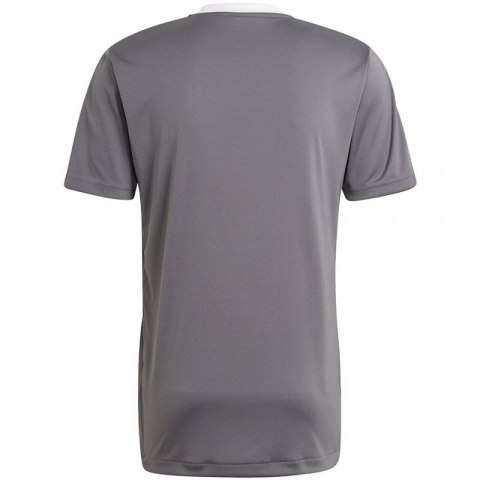 Koszulka adidas Tiro 21 Training Jersey M GM7587 Koszulka adidas Tiro 21 Training Jersey M GM7587