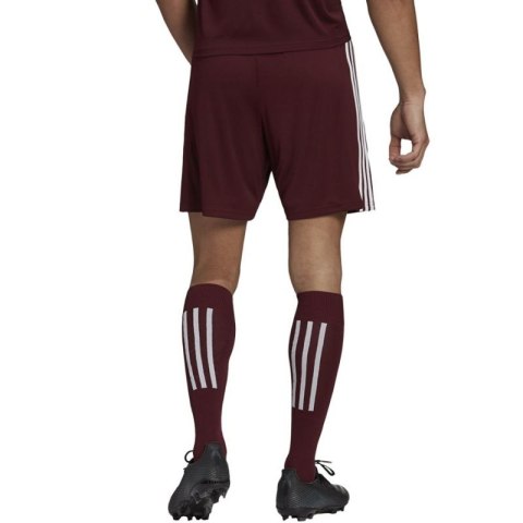 Spodenki adidas Squadra 21 Short M GN8083 Spodenki adidas Squadra 21 Short M GN8083