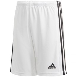 Spodenki adidas Squadra 21 Short Youth Jr GN5766