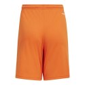 Spodenki adidas Squadra 21 Jr GN8082