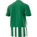 Koszulka adidas Striped 21 JSY M H35644