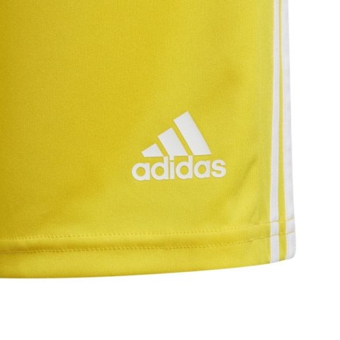 Spodenki adidas Squadra 21 Short Youth Jr GN5760 Spodenki adidas Squadra 21 Short Youth Jr GN5760
