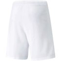 Spodenki Puma teamRISE Short M 704942 03