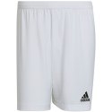 Spodenki adidas Entrada 22 M HG6295