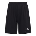 Spodenki adidas Entrada 22 Jr H57502