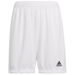 Spodenki adidas Entrada 22 Short Y Jr HG6292
