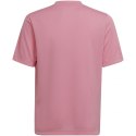 Koszulka adidas Entrada 22 Graphic Jersey Jr HC2632