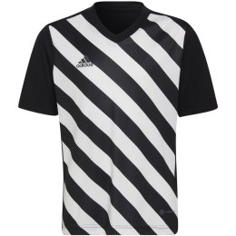 Koszulka adidas Entrada 22 Graphic Jersey Jr HF0123