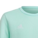 Bluza adidas Entrada 22 Sweat Top Jr HC5042