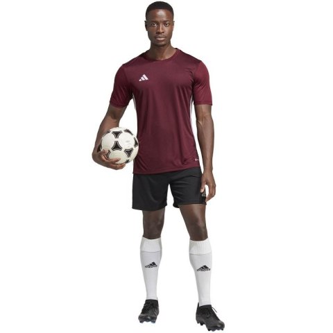 Koszulka adidas Tabela 23 Jersey M IB4928 Koszulka adidas Tabela 23 Jersey M IB4928