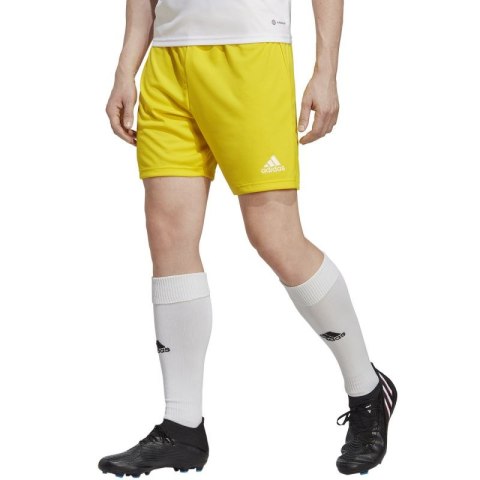 Spodenki adidas Entrada 22 M IC7404 Spodenki adidas Entrada 22 M IC7404