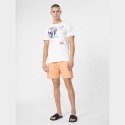 Spodenki 4F M 4FSS23TSHOM074 64S