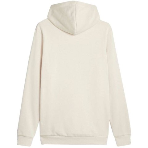 Bluza Puma ESS Big Logo Hoodie FL (s) Evening M 586687 87 Bluza Puma ESS Big Logo Hoodie FL (s) Evening M 586687 87