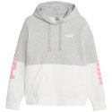 Bluza Puma Power Colorblock Hoodie FL W 676023 04