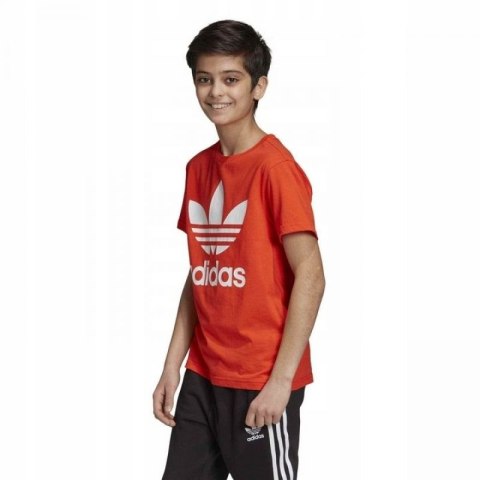 Koszulka adidas Originals Trefoil Jr DV2907 Koszulka adidas Originals Trefoil Jr DV2907