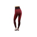 Legginsy GymHero Leggins W RUSTY