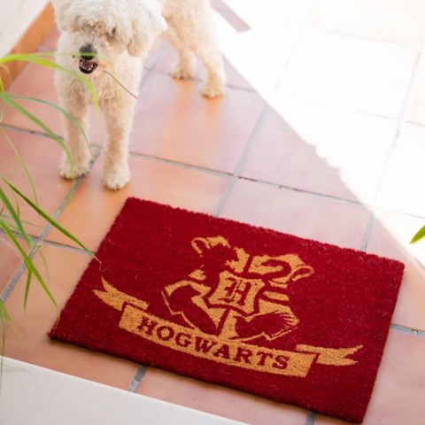 Harry Potter - Wycieraczka (40 x 60 cm) Harry Potter - Wycieraczka (40 x 60 cm)