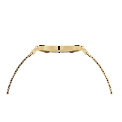 ZEGAREK DAMSKI DANIEL WELLINGTON DW00100350 - Petite Evergold 28mm ZEGAREK DAMSKI DANIEL WELLINGTON DW00100350 - Petite Evergold 28mm