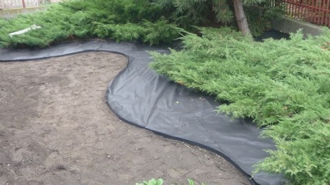 Agrowłóknina Czarna P-50 UV 3,2m x 1mb GF Agro Agrowłóknina Czarna P-50 UV 3,2m x 1mb GF Agro