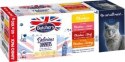 BUTCHER'S Delicious Dinners Jumbo Pack - mokra karma dla kota - 40x100 g
