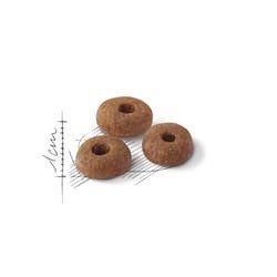 ROYAL CANIN FHN Regular Fit 32 - sucha karma dla kota dorosłego - 2 kg ROYAL CANIN FHN Regular Fit 32 - sucha karma dla kota dorosłego - 2 kg