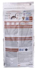 Hill's Prescription Diet Feline k/d Kidney Care - sucha karma dla kotów z chorobami nerek - 3 kg
