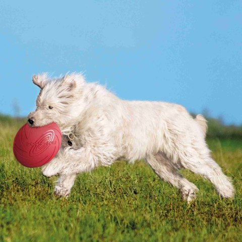 TRIXIE Frisbee gumowe 18cm 33501 TRIXIE Frisbee gumowe 18cm 33501