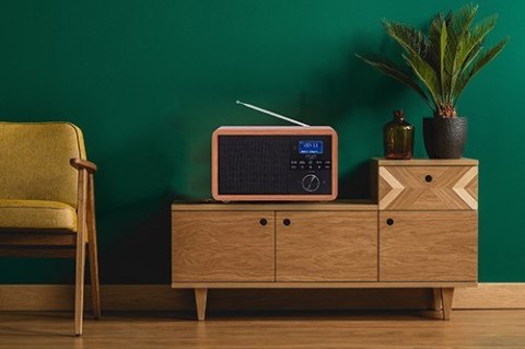 Radio DAB+ ADLER AD 1184 Radio DAB+ ADLER AD 1184