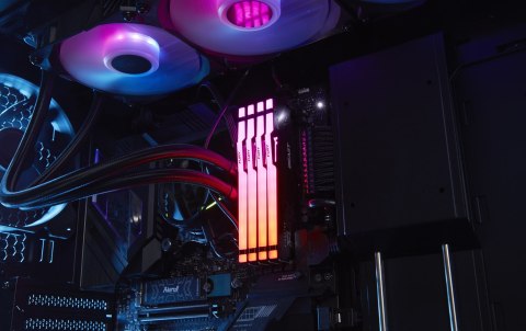 Kingston FURY DDR5 32GB (2x16GB) 5600MHz CL36 Beast Black RGB EXPO AMD Kingston FURY DDR5 32GB (2x16GB) 5600MHz CL36 Beast Black RGB EXPO AMD