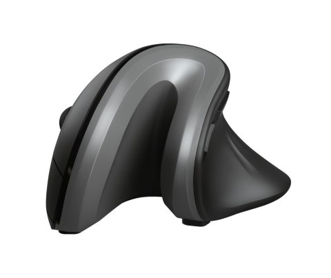 Mysz TRUST Verro Ergonomic Wireless Mouse Mysz TRUST Verro Ergonomic Wireless Mouse