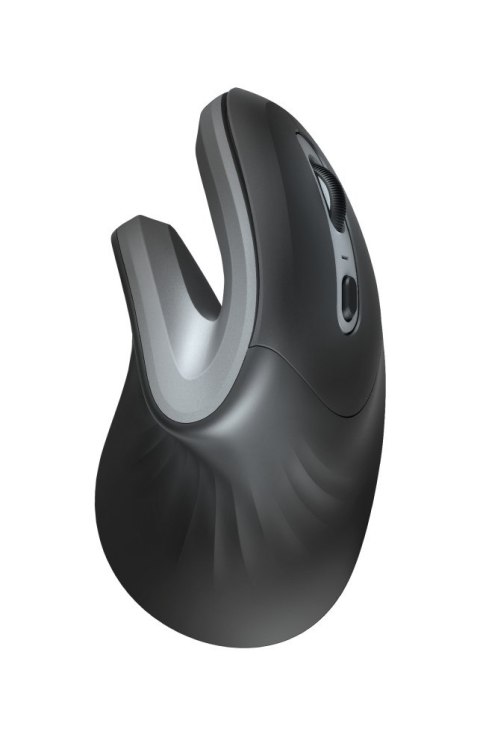 Mysz TRUST Verro Ergonomic Wireless Mouse Mysz TRUST Verro Ergonomic Wireless Mouse
