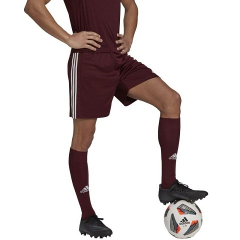 Spodenki adidas Squadra 21 Short M GN8083 Spodenki adidas Squadra 21 Short M GN8083