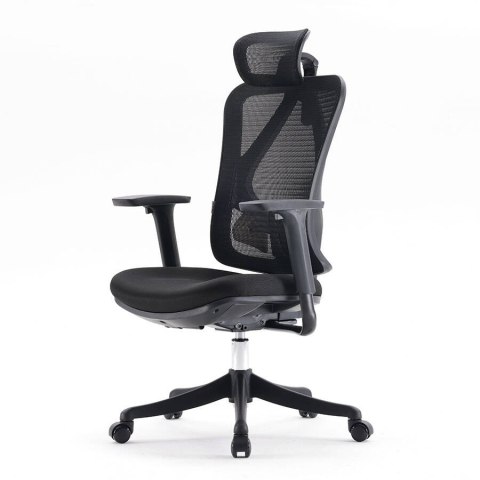 Fotel ergonomiczny ANGEL biurowy obrotowy Europa 2.0 Fotel ergonomiczny ANGEL biurowy obrotowy Europa 2.0