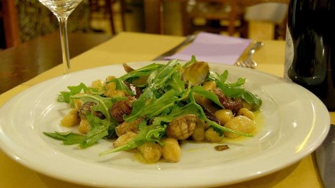 TARKA DO KLUSEK GNOCCHI BLAUMANN BL-3294 TARKA DO KLUSEK GNOCCHI BLAUMANN BL-3294