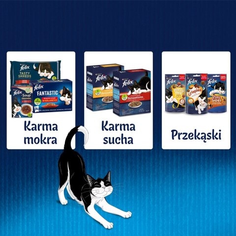 FELIX Sensations Ryba w sosie - mokra karma dla kota - 4x 85g FELIX Sensations Ryba w sosie - mokra karma dla kota - 4x 85g