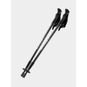 Kije trekkingowe BERGSON BTP-02