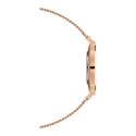 ZEGAREK DAMSKI DANIEL WELLINGTON DW00100472 - PETITE UNITONE 36mm (zw511a)