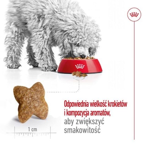ROYAL CANIN SHN Mini Adult BF 8kg ROYAL CANIN SHN Mini Adult BF 8kg