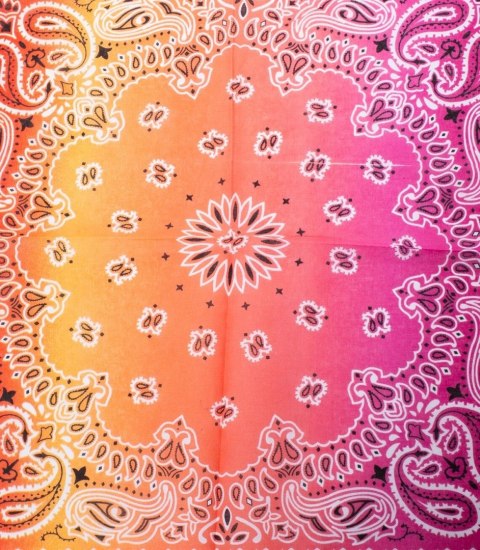 Bandana bandanka kwadratowa chusta Modne wzory Bawełna (Wielokolorowy) Bandana bandanka kwadratowa chusta Modne wzory Bawełna (Wielokolorowy)