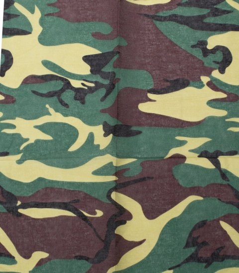 Bandana bandanka kwadratowa chusta Modne wzory Bawełna (Zielony || Wielokolorowy) Bandana bandanka kwadratowa chusta Modne wzory Bawełna (Zielony || Wielokolorowy)